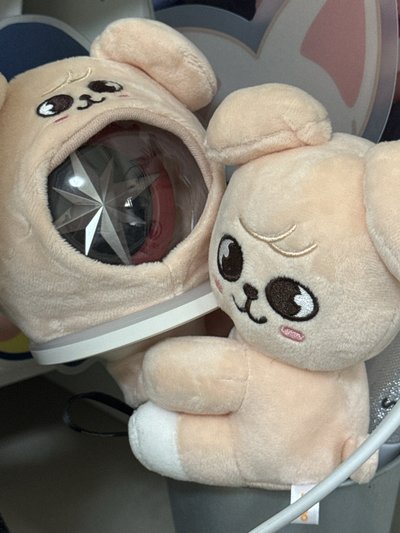 二代手燈套 玟 全新未拆