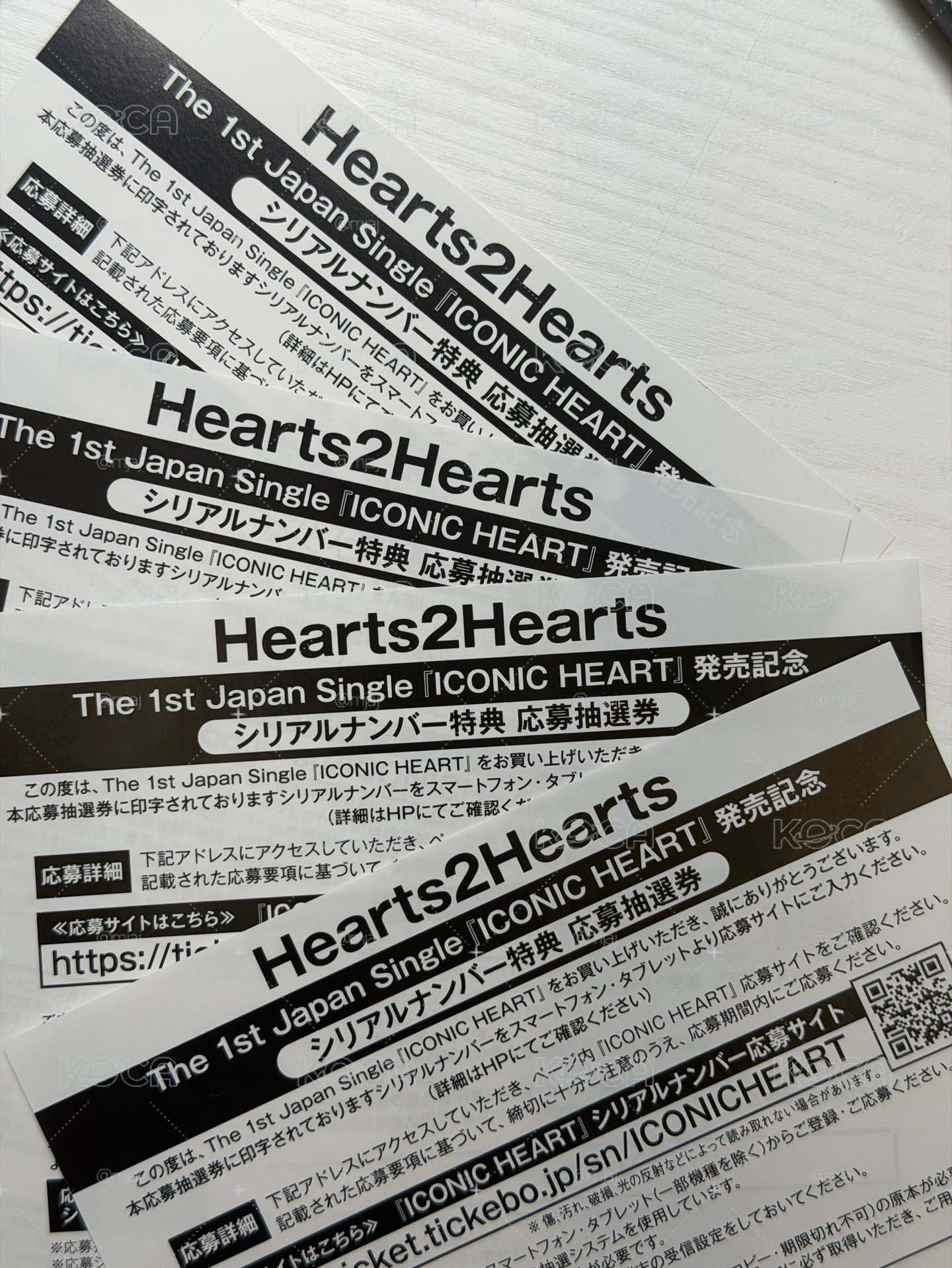h2h 日本應募券