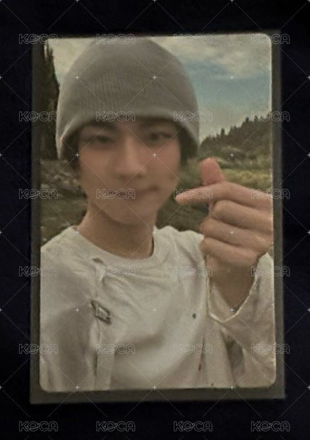迷七單封wvs特典