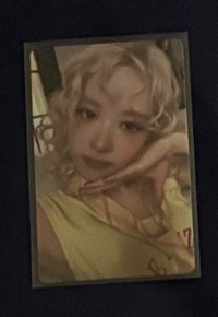rosie塔店特典