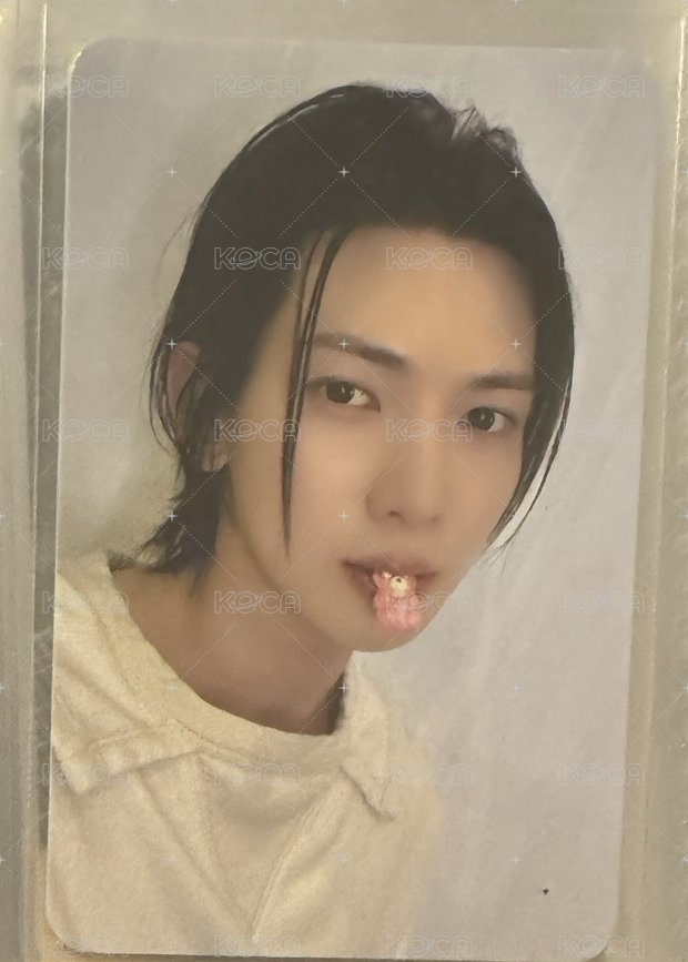 小熊軟糖尚