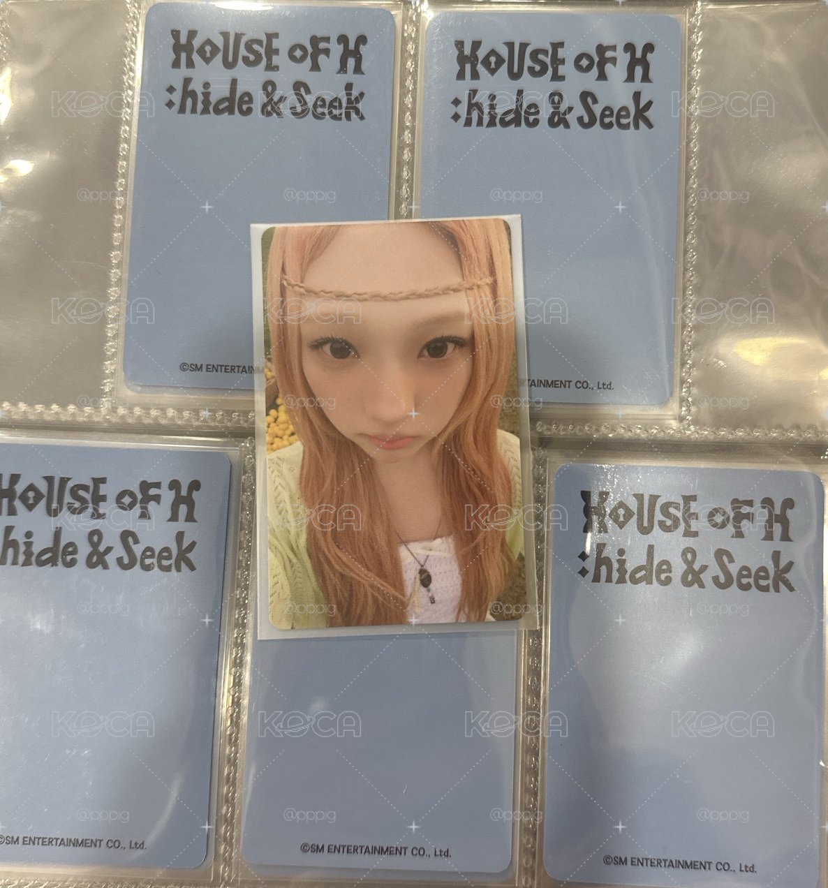 塔店stella