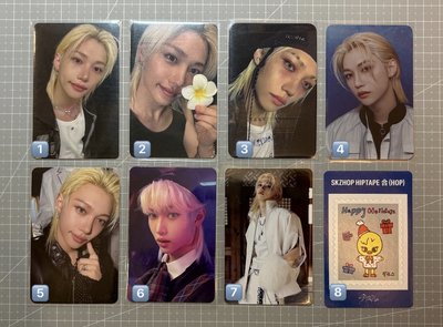 skz 菲卡