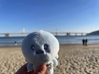 페