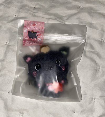 STEADY快閃 kuri原皮/•᷅‎‎•᷄\୭ 