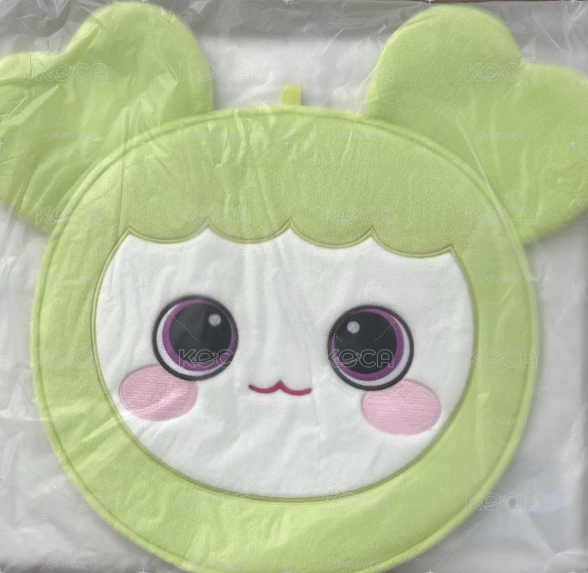 ［現貨/最後一個］TWICE 定延 BABY Jeongvely  IMAGE PICKET CASE 扇套 新國立 