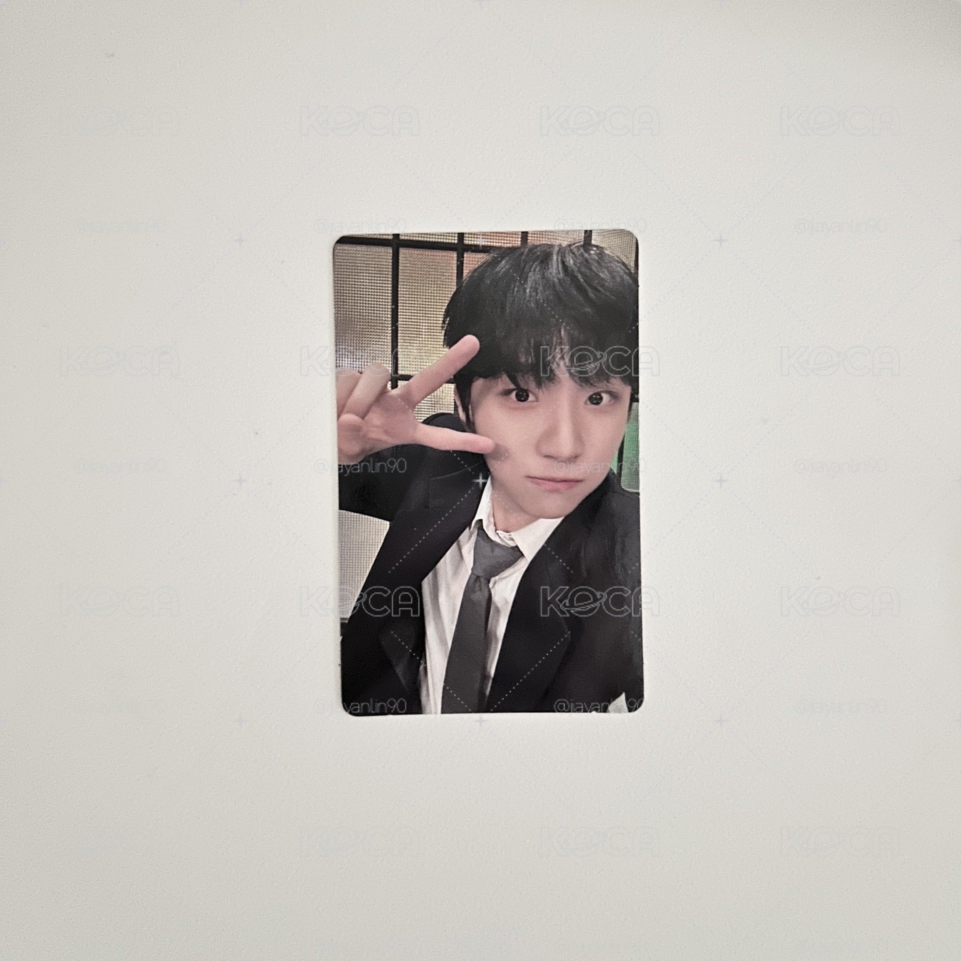 19.99 wvs預售6