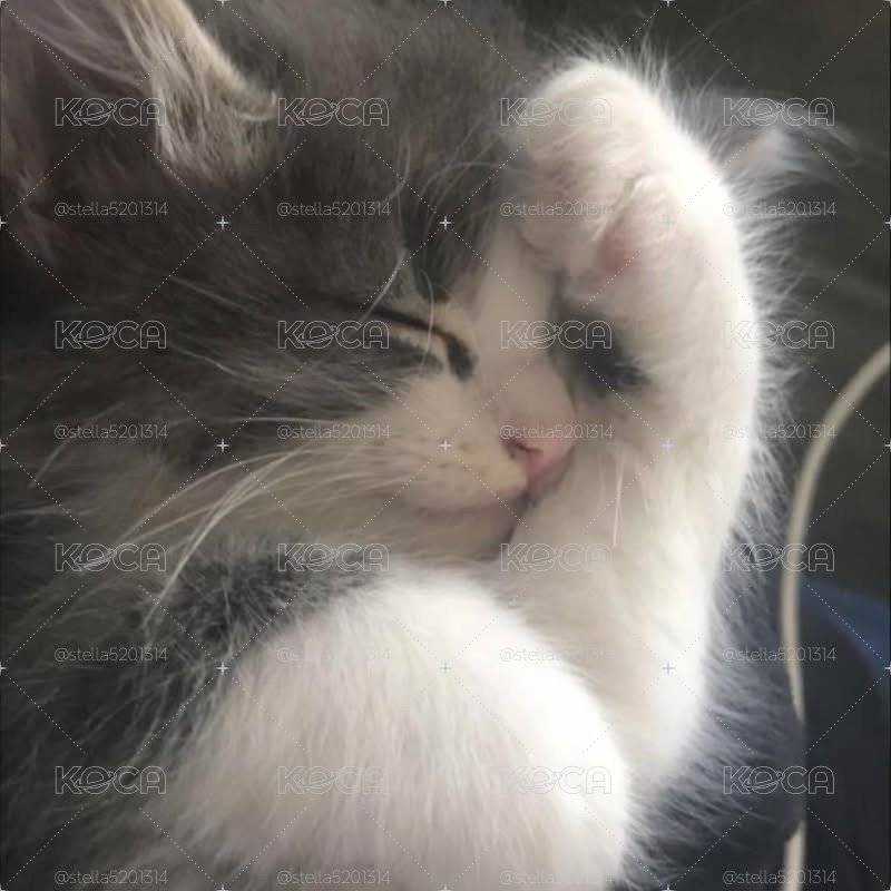 補寄