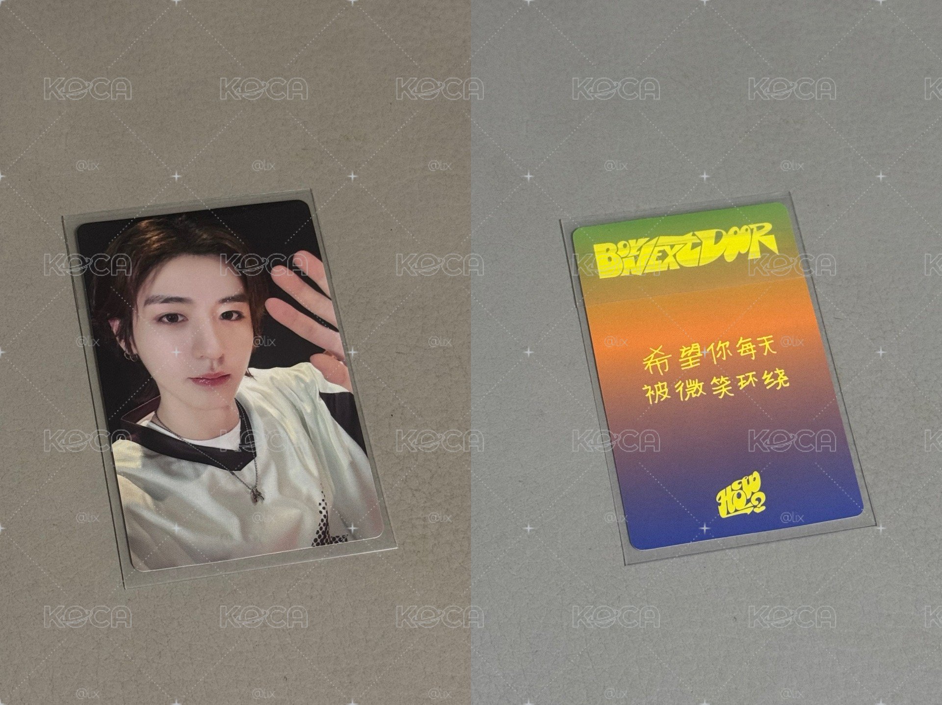儇儇中文卡背