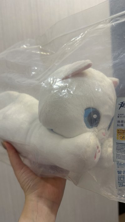 菜頭粿 趴娃