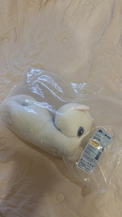菜頭粿 趴娃