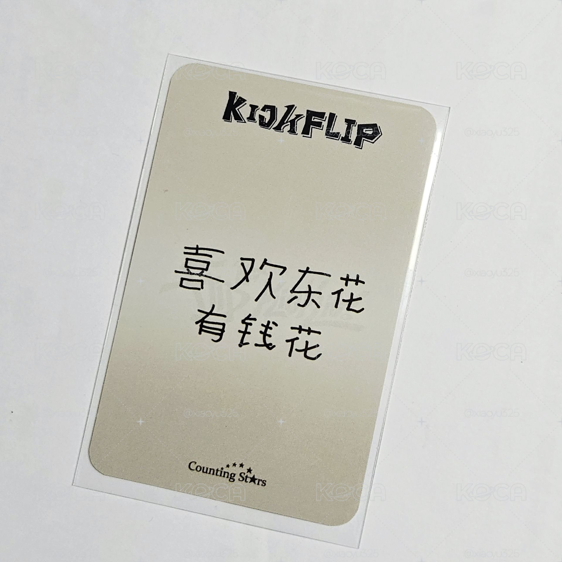 迷一 數星星中背 卡比東花