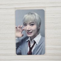 泡泡摩奇 中文卡背