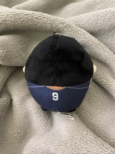 排球少年 影山飛雄 圓滾滾 小