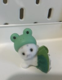 圖二