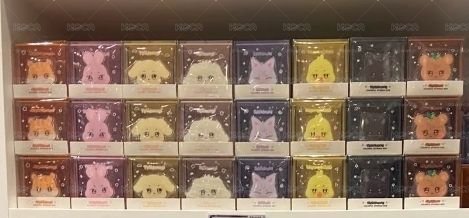ANITEEZ IN COLOR 收納盒/箱 COLORFUL STORAGE BOX