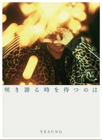 專輯 