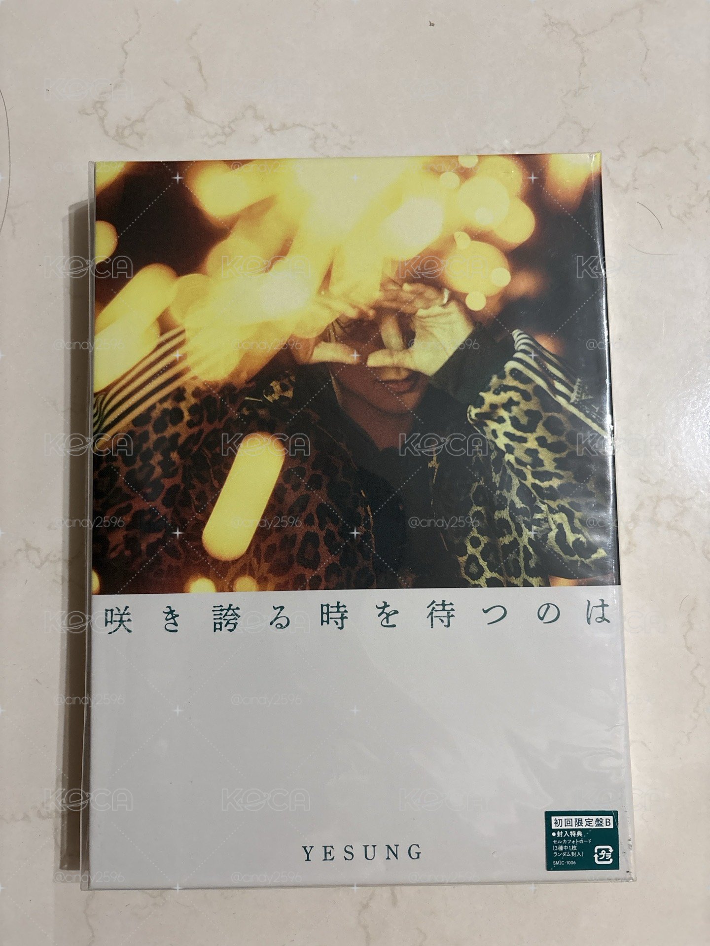 藝聲日專《等待著盛放的時機到來》初回限定版 B