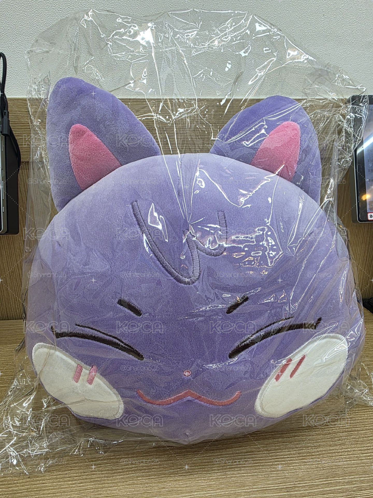 ANITEEZ IN ICE CITY 抱枕 PLUSH CUSHION