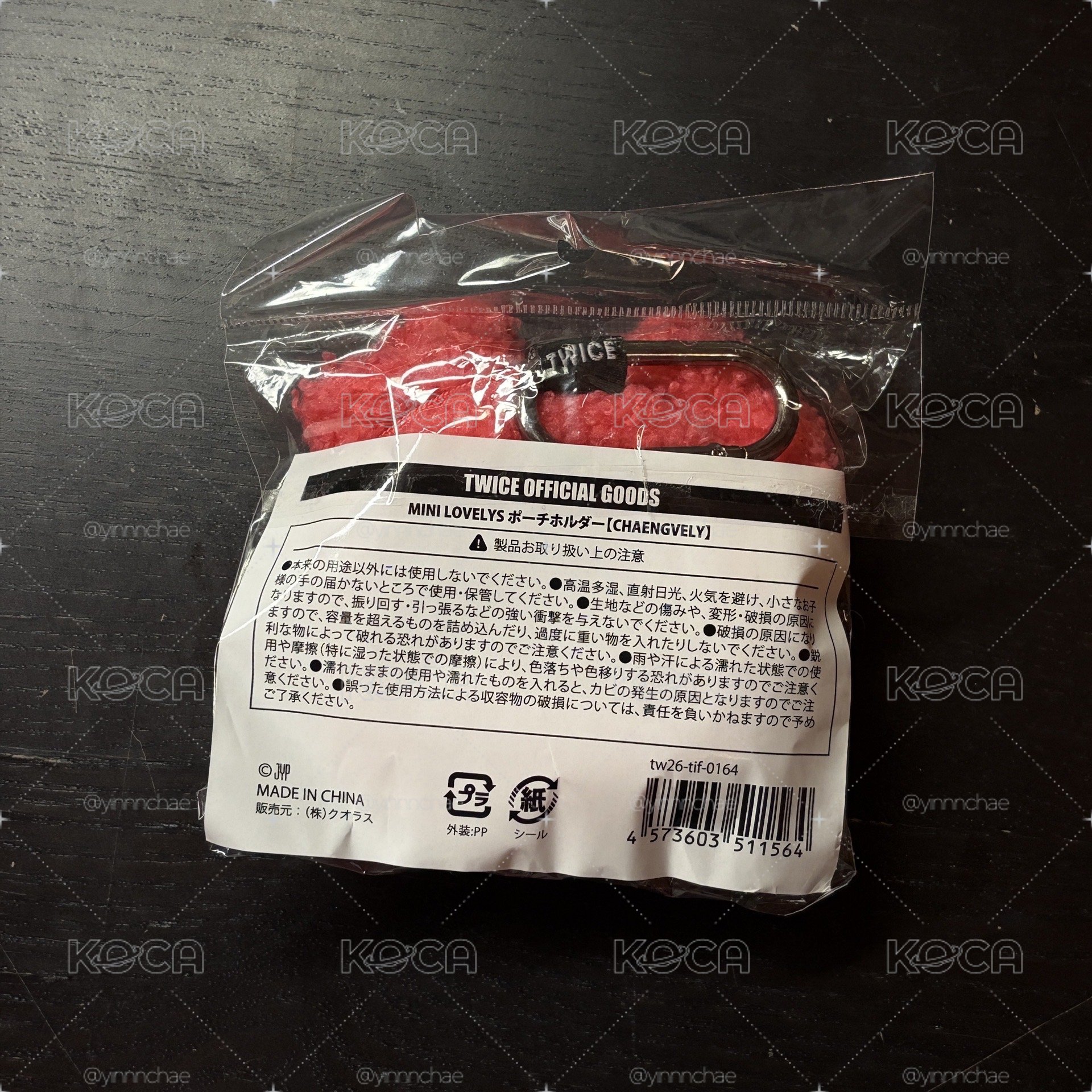 彩瑛 新國立耳機包