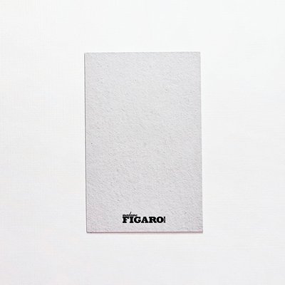 ⛄FIGARO B版雜誌特典