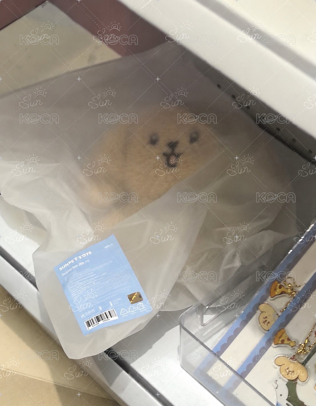 碩站娃
