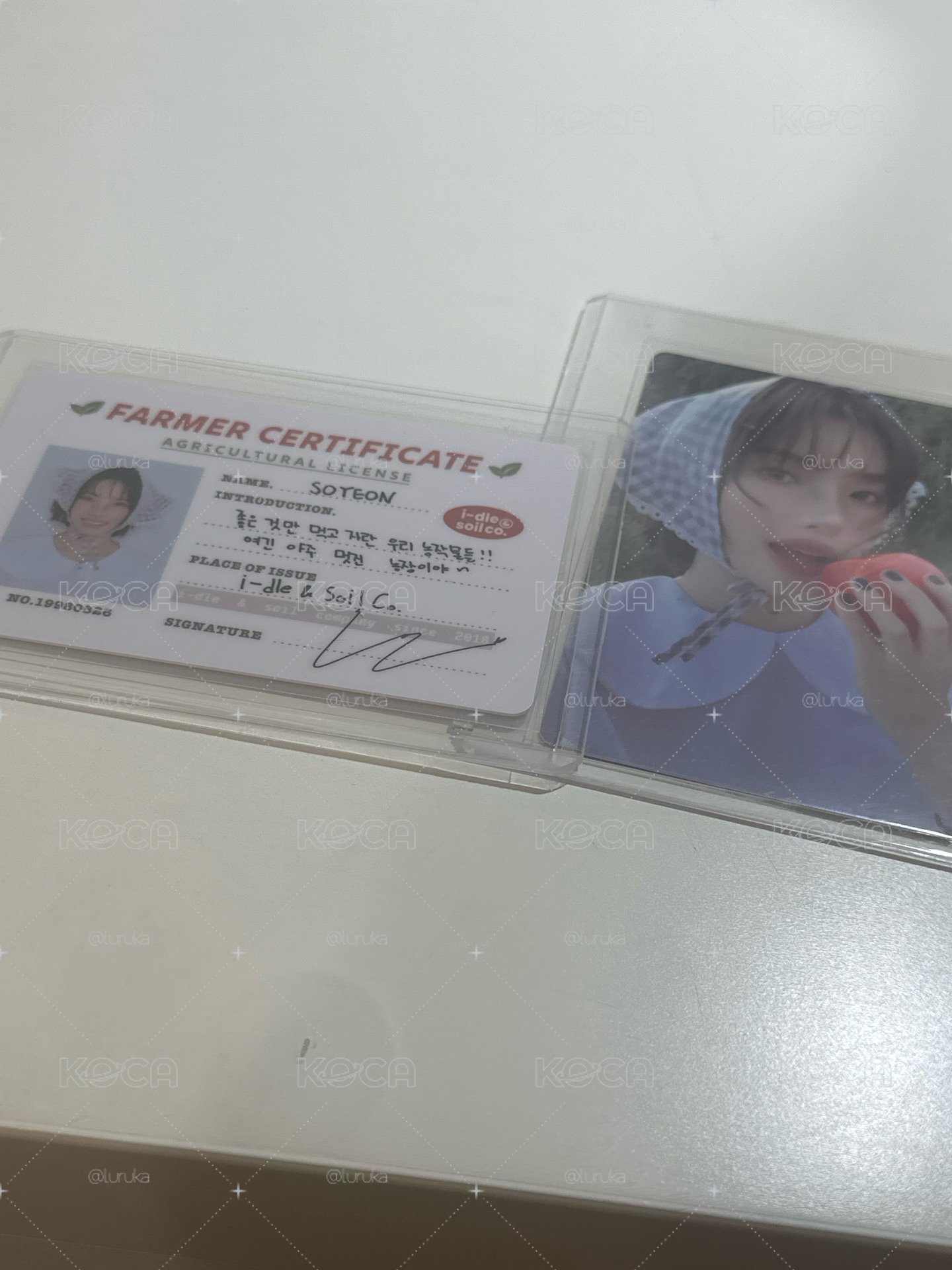 小娟年曆卡～🍀