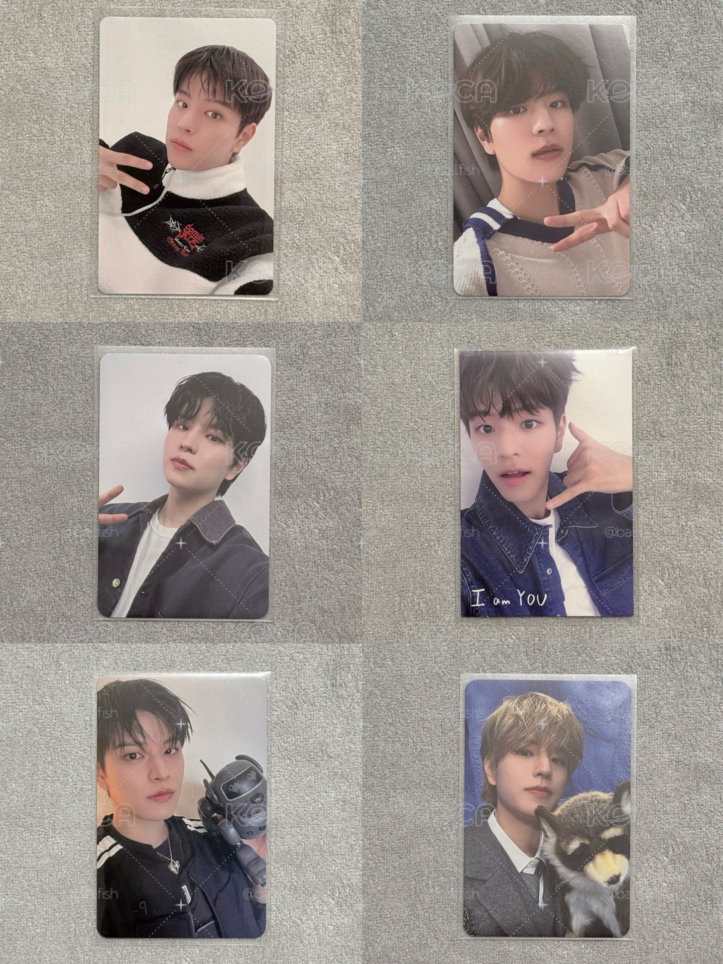 SKZ 玟卡專區🐶