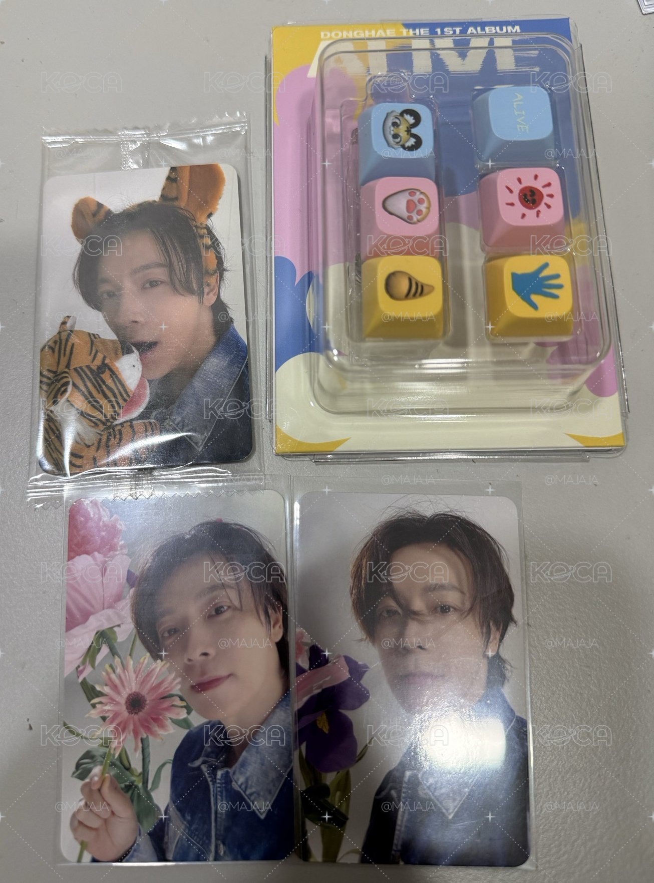 現貨 東海 ALIVE鍵帽電子專 fromm K4 特典卡