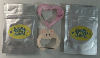 SKZOO 登山扣