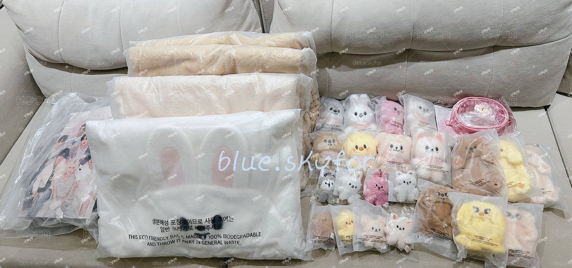 SKZ 五期飯咪 全新未拆