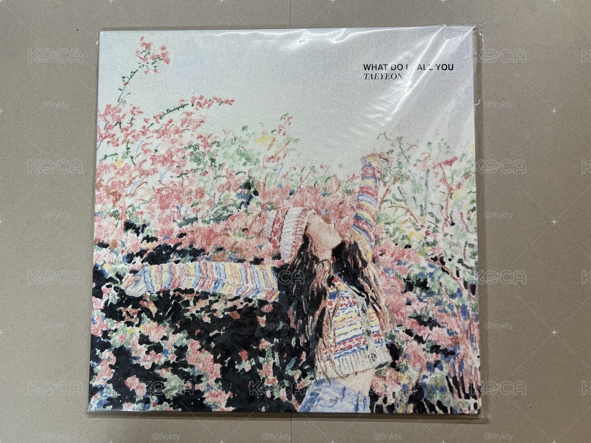 太妍 WDICY What Do I Call You 黑膠 未拆