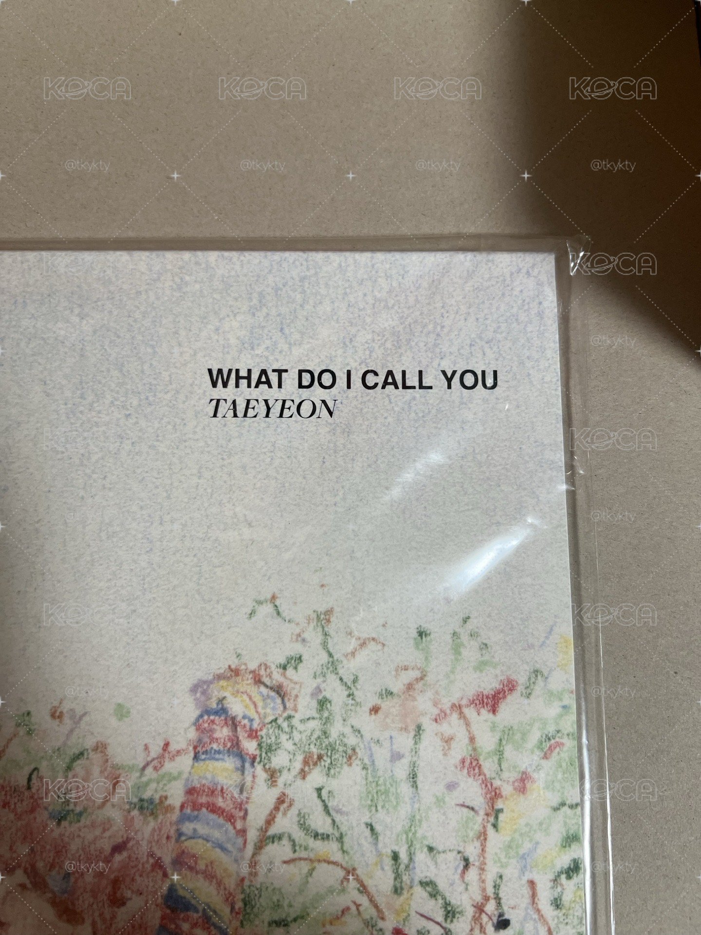 太妍 WDICY What Do I Call You 黑膠 未拆