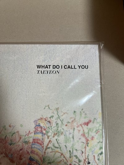 太妍 WDICY What Do I Call You 黑膠 未拆