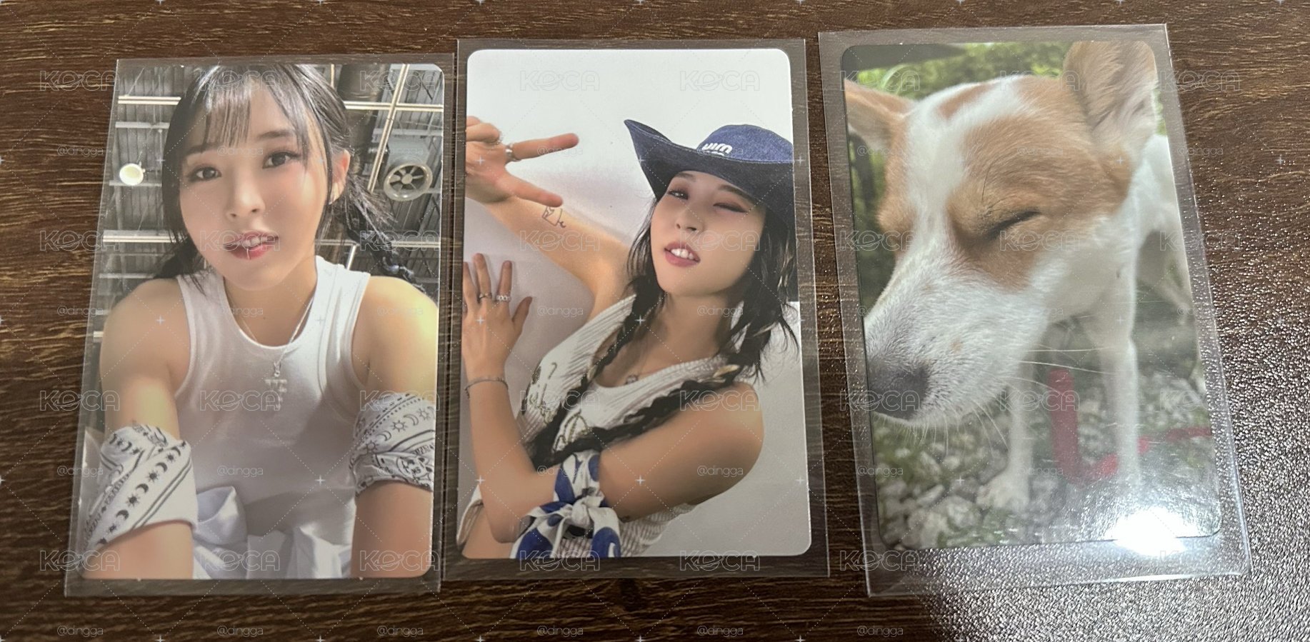 MAMAMOO+ TWO RABBITS 專輯小卡