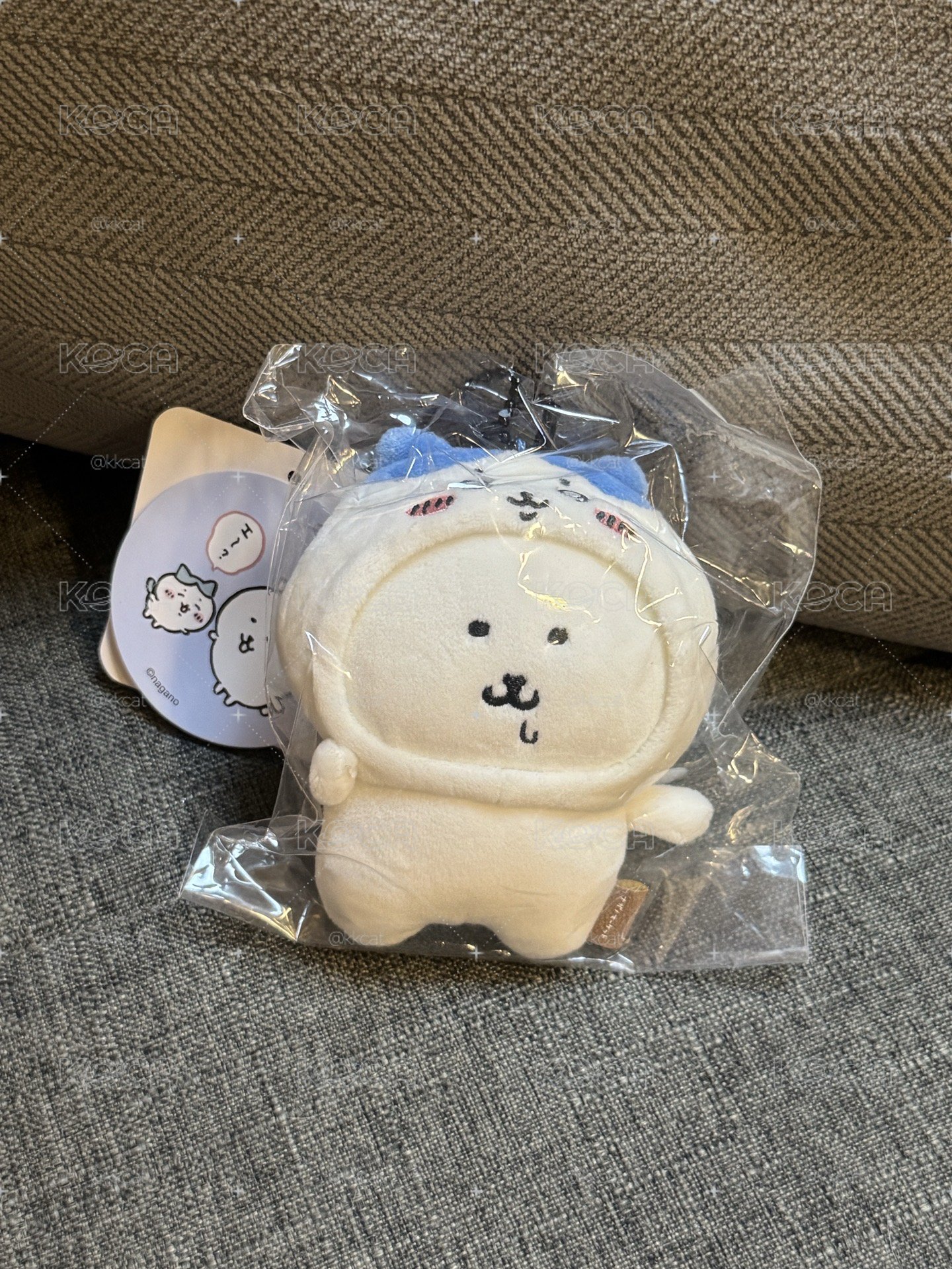 八皮熊