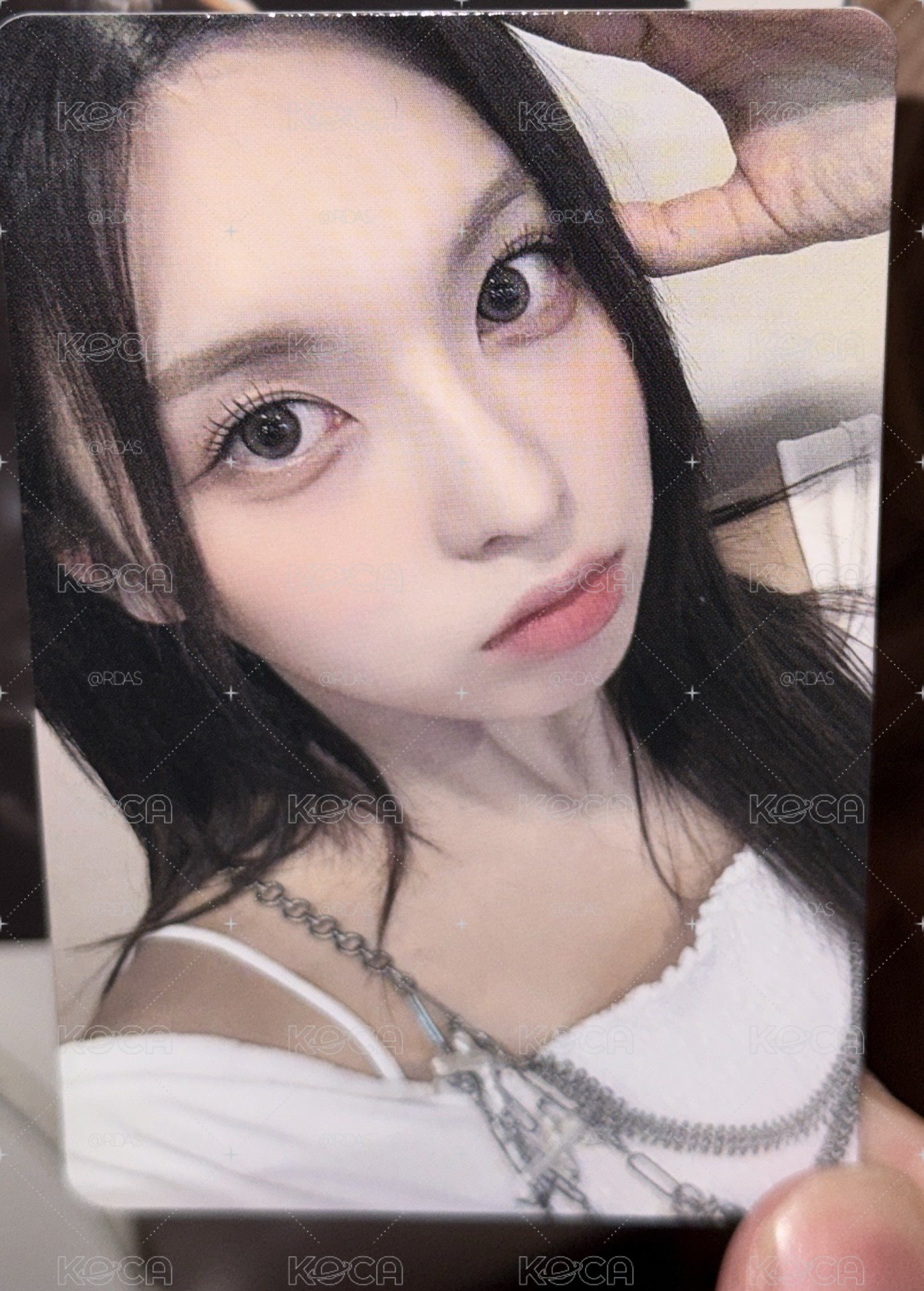狗耳裴
