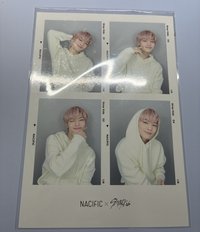 NACIFIC 16.0 四格寅
