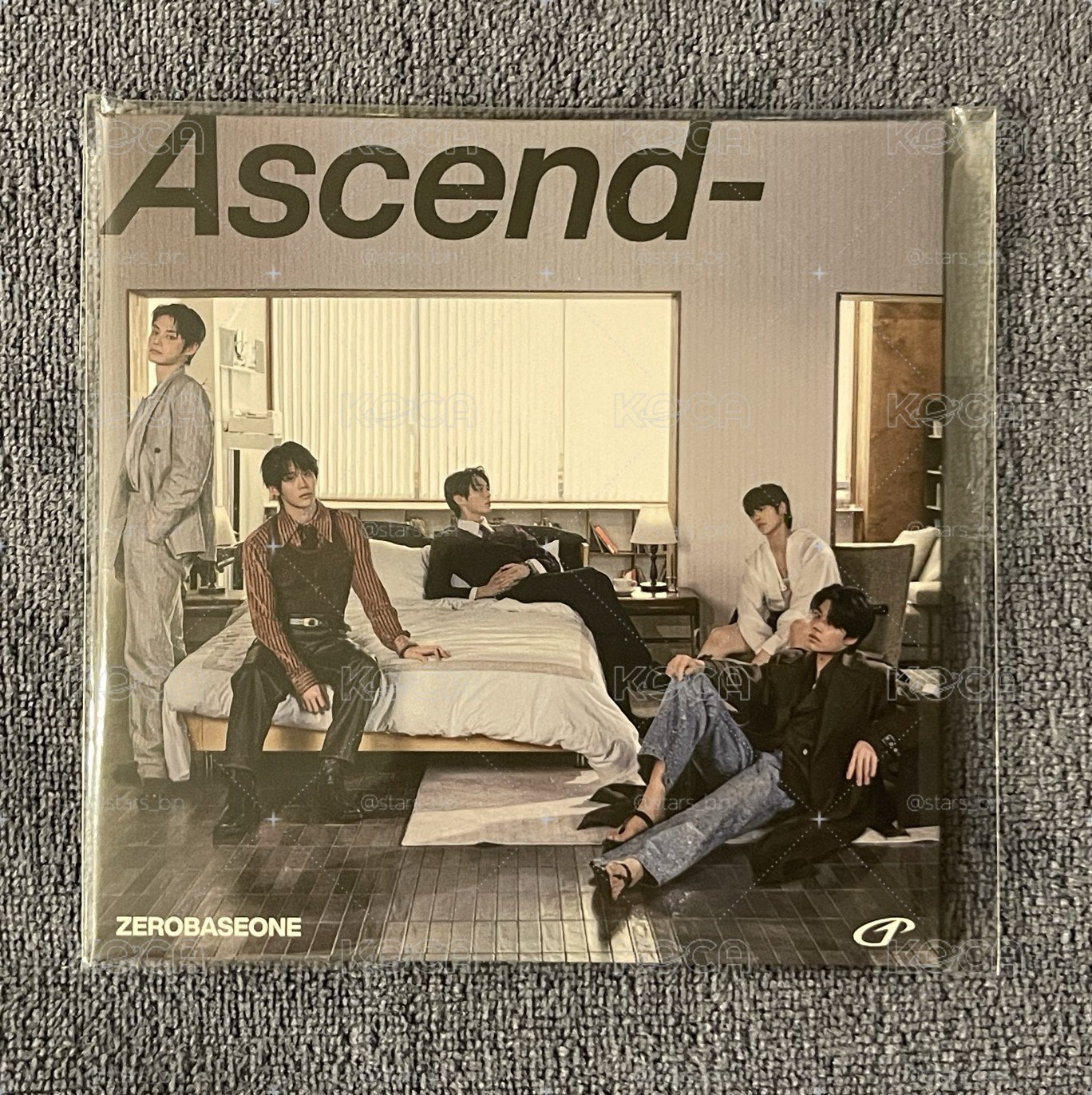 Ascend- 黑膠造型杯墊