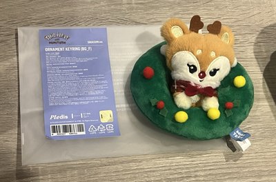 秀聖誕花圈娃