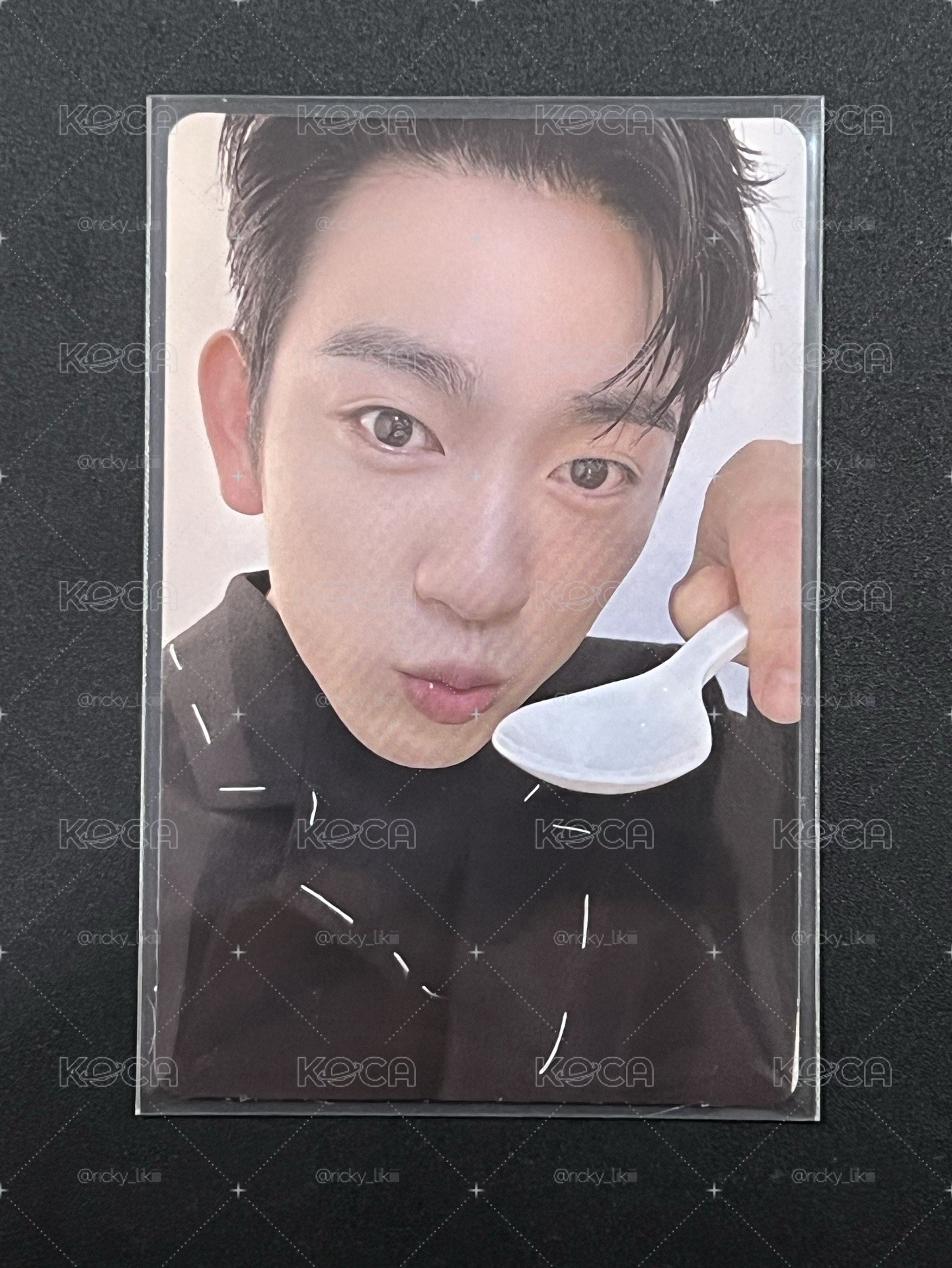 Jin Young NESTFEST卡包隨機卡