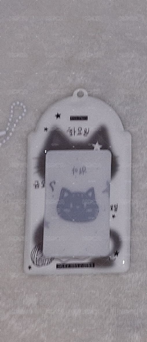 貓咪卡套