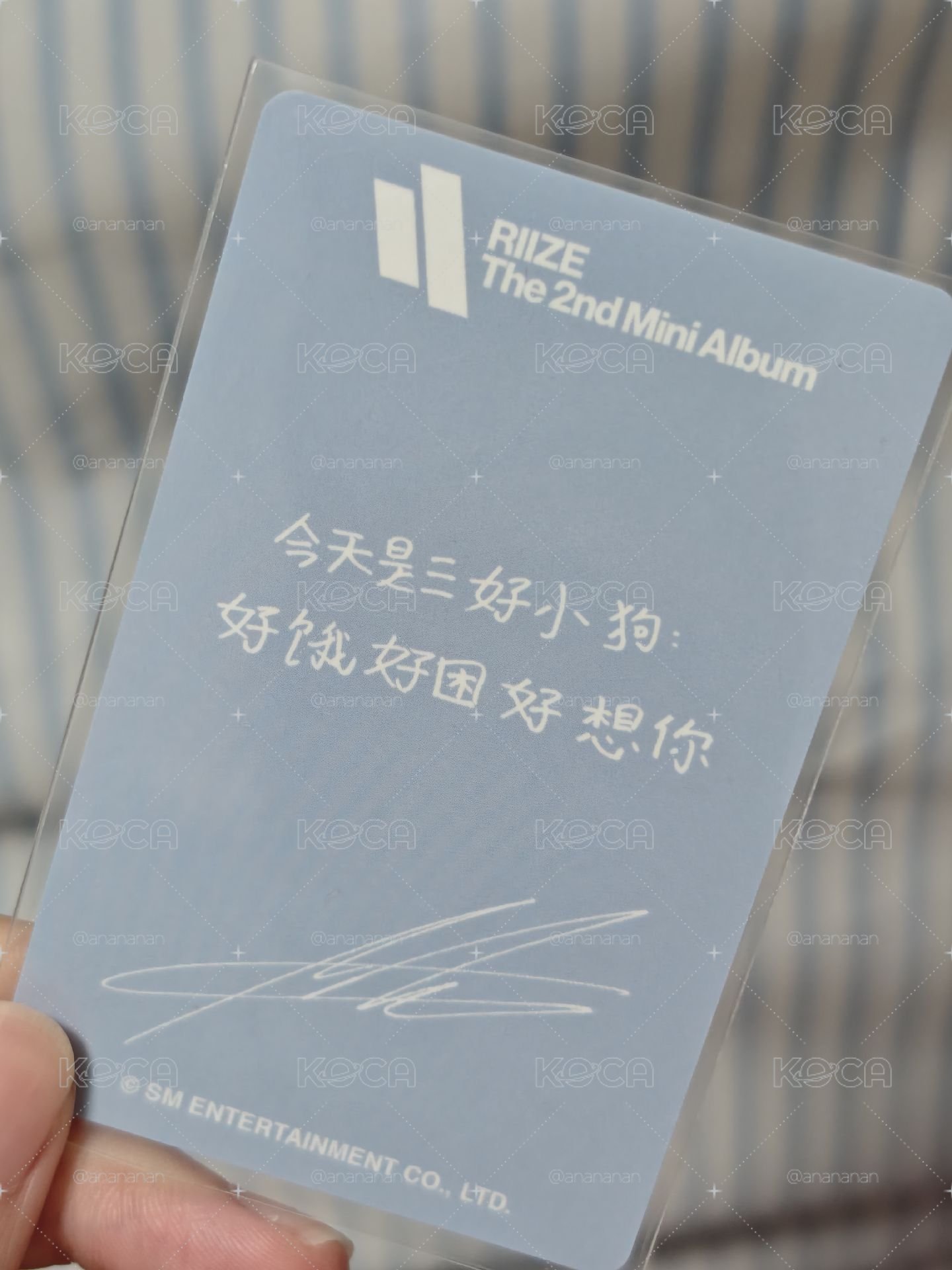 安三好小狗中背