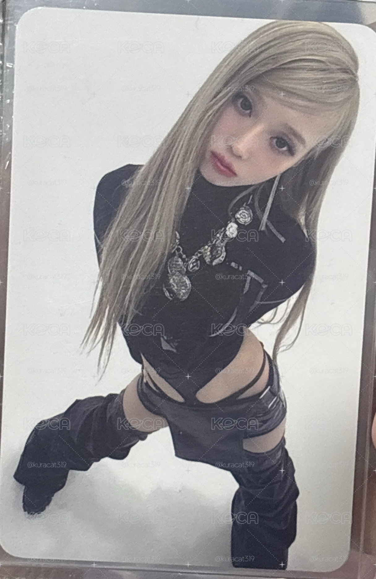 預售冬