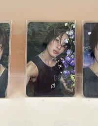 BTL花