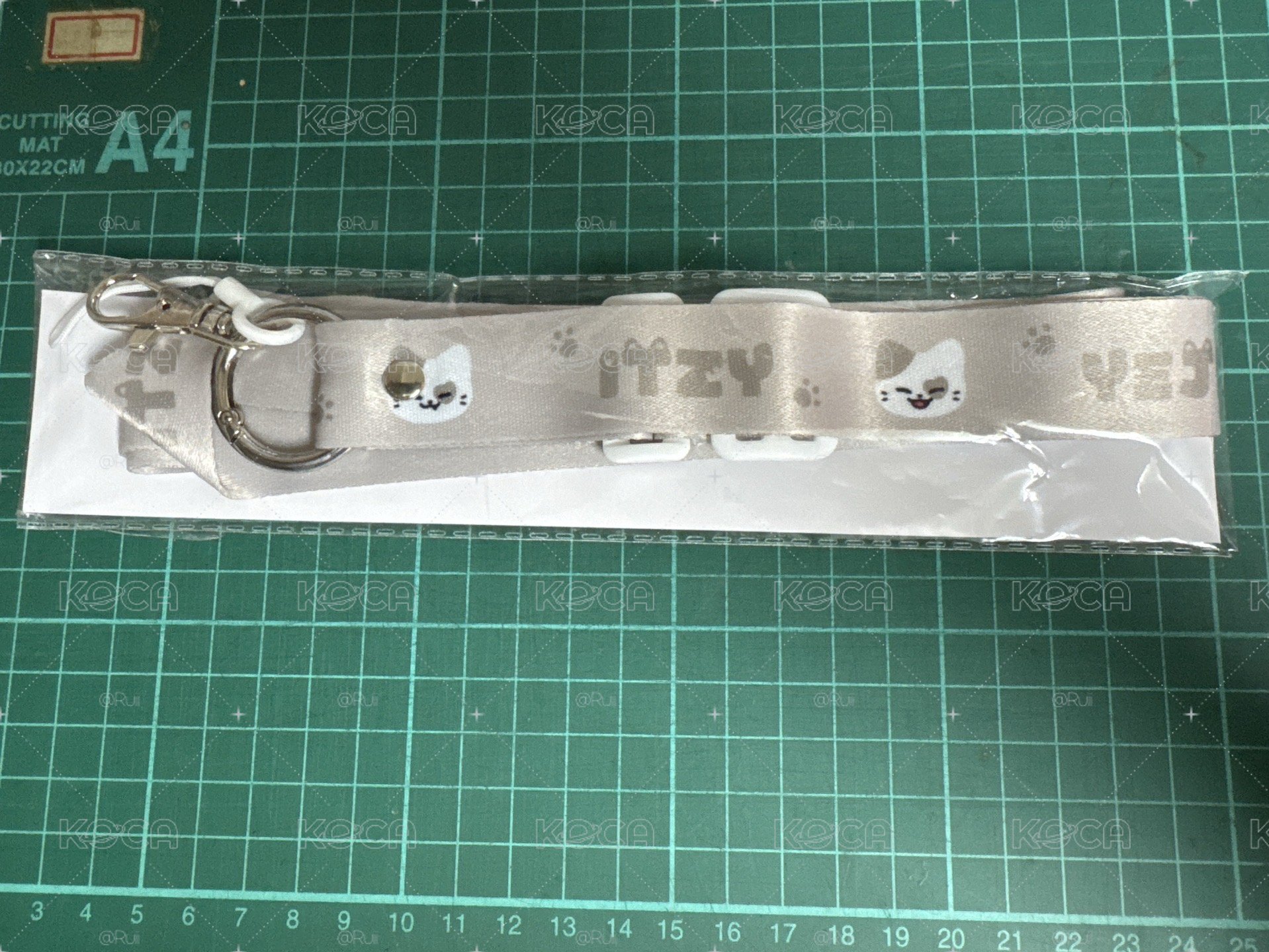 禮志 手燈吊繩