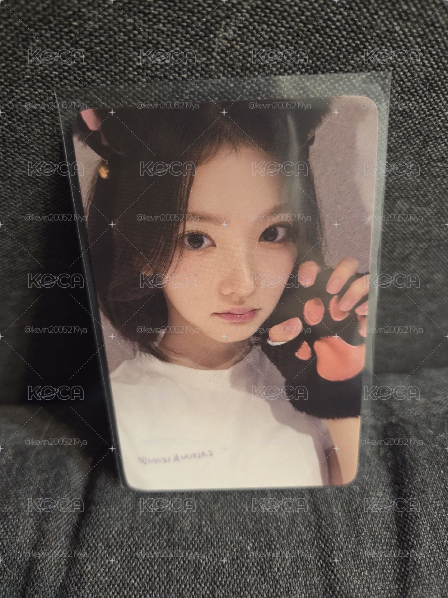 h2h 貓爪jiwoo