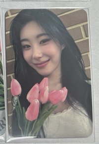 鬱金香領