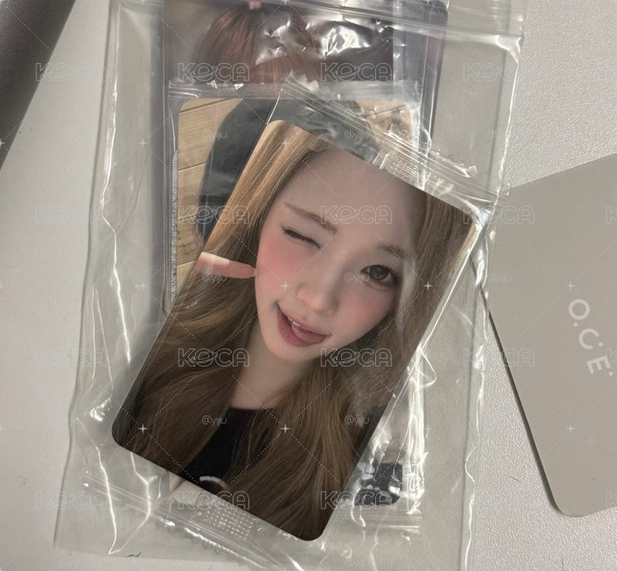 focus k4簽售 yuha