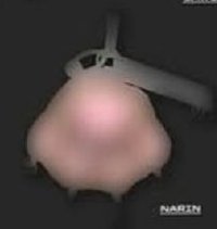 迷一 電子專 貓爪專 narin款